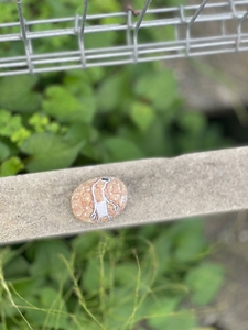 uKjrG9ca3B472Xldx3J9.jpg?w=940&h=940