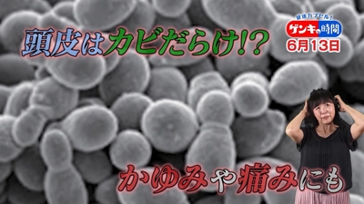 uLPqrZl6xxuFgplme0kk.jpg?w=940&h=940