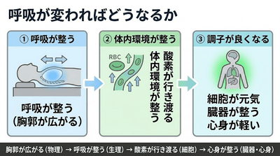 uLajlhLKYb439tMX3Rod.png?w=940&h=940