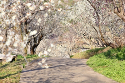 uMSwwfJJ4VI5ezfOTyL5.jpg?w=940&h=940