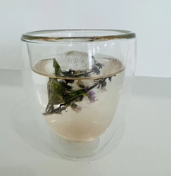 十和田市のハーブカフェ＆ショップ「PROSPERE CAFE」、 夏限定！ホーリーバジルを2度楽しめる、 ひんやり気持ちいいリフレッシングドリンクを発売