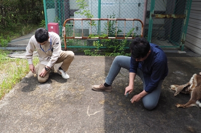 【画像２】法華寺南遺跡から出土した石器の接合資料