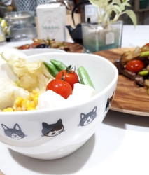 猫好き必見！モノトーンでシックなペアボウル