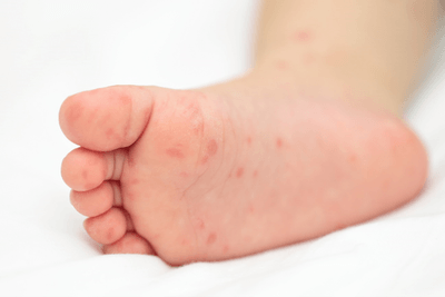 uPRh1z4p4kIvGbJHVZL1.png?w=940&h=940