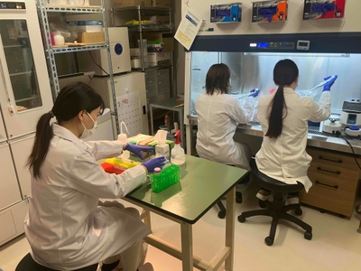 uRjevNUC5tV24UbvOyKW.JPG?w=940&h=940