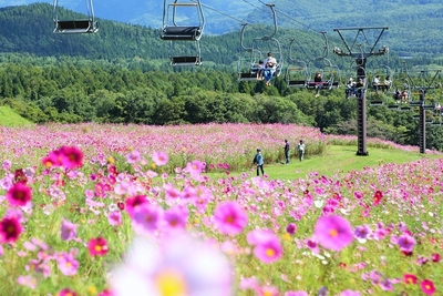 見頃の景色（過去写真）