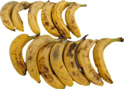 今回の取り組みに際し、 実際に使用した規格外バナナ