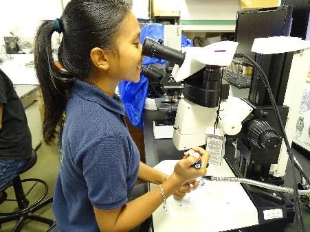 マレーシア・サバ大学研修生の歓送式典を開催 研修生が水産研究所での81日間の研修成果を報告