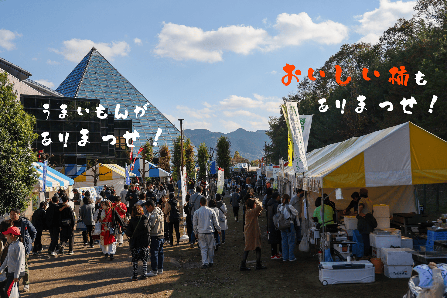 まっせ・はしもと ~柿まつり~