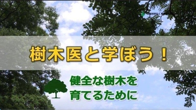 uUdF17PhrcEvReayffOx.jpg?w=940&h=940