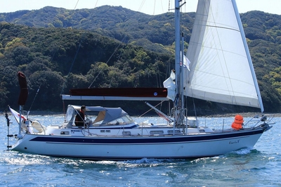 uV3vE26V33lC7fEJPX9f.jpg?w=940&h=940