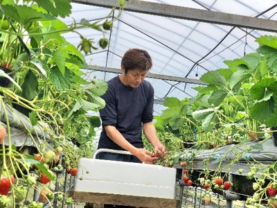 uVK1acTUytwXF54CwSOH.jpg?w=940&h=940