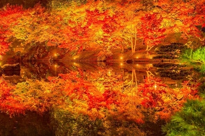 uY25u1ZTKtSJHqvX4G23.jpg?w=940&h=940