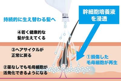 uY7QBJrNPuJzpD8fBw3I.jpg?w=940&h=940