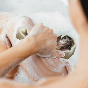 ひものスポンジ