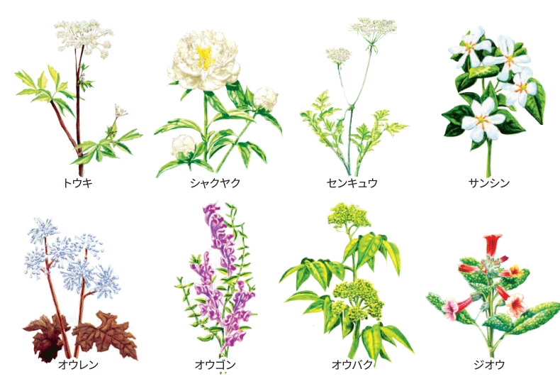 PURE BARRIER ピュアバリア《お肌を整える》