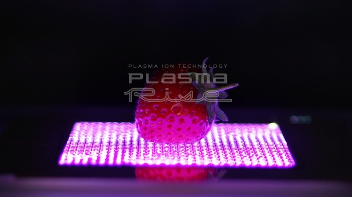 写真3.イチゴのプラズマ処理実験事例