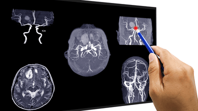 uboJ1yQPOonO6XVQraew.png?w=940&h=940