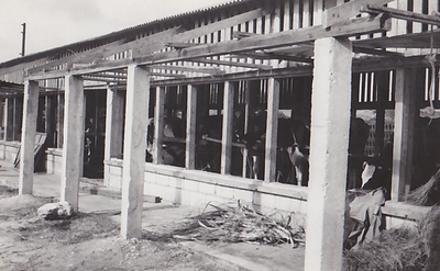 ucEqUTXSl5hZgbcplYtz.jpg?w=940&h=940