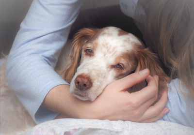 udVLuxq3zKflofKy7d7a.jpeg?w=940&h=940