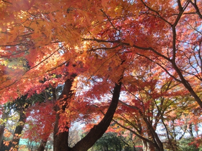 udwKOfVjjJ70Wp5heBEn.jpg?w=940&h=940