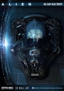 ue347kI8xHKWzXy9k2aA.jpg?w=940&h=940