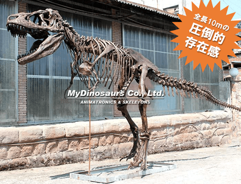 ティラノサウルス全身骨格