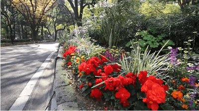 uetuxj848KmYF7aYHfRQ.png?w=940&h=940