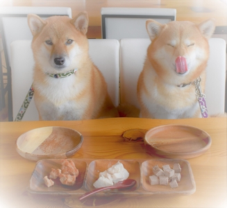 ufTzXyHLETs6Ba8Y8LuI.jpeg?w=940&h=940