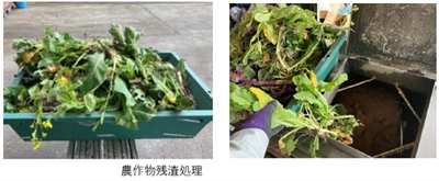 WEF技術開発、100％分解、無排水、 ヒーター不要のスーパー生物処理技術開発