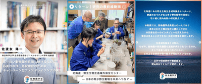 ugLnyP81EMXbn2Cnmqak.png?w=940&h=940