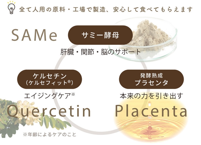 3つのパワーで健康維持をトータルサポート