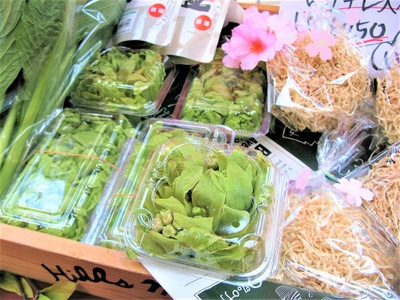 uhzuc5Hkkwgd6b0lLPlt.jpg?w=940&h=940