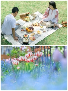 uicCX18mRSxJPNrZN02B.jpg?w=940&h=940