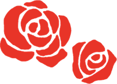 旧古河庭園 バラ