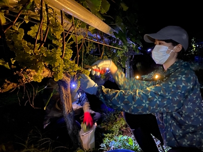 uki2jxUO3Rmzwa3ahKZC.jpg?w=940&h=940