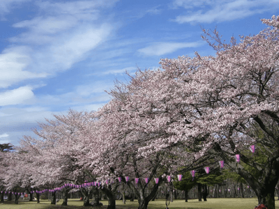 ulxAlMR2nbGvj9tdLsaM.png?w=940&h=940