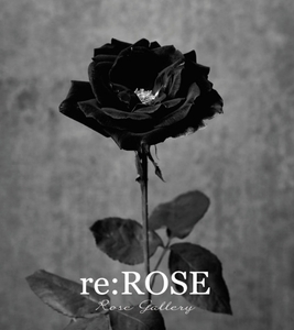 umDi4IEJCcsmHj0XEiDV.jpg?w=940&h=940