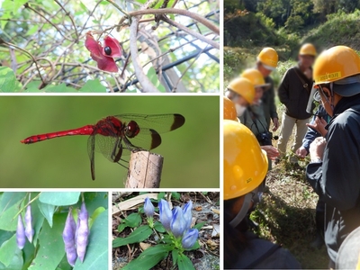 umRykG3rsIxolyl40h5L.jpg?w=940&h=940