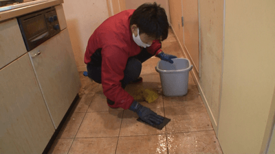 unKqqkGcmRFFl9lI5gw4.png?w=940&h=940