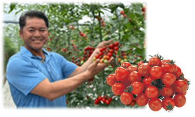 uo6gSanxpnIgLT7EOdwL.png?w=940&h=940