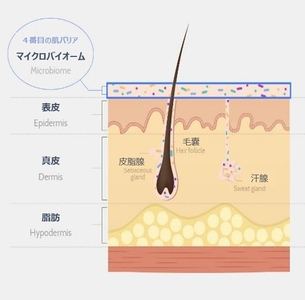 uo7hVANhql3TYLrGzPR0.jpg?w=940&h=940