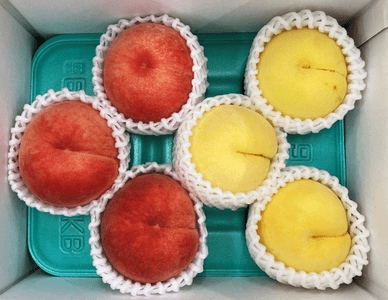 uoDVd3zHB9cArmnqvj7j.png?w=940&h=940