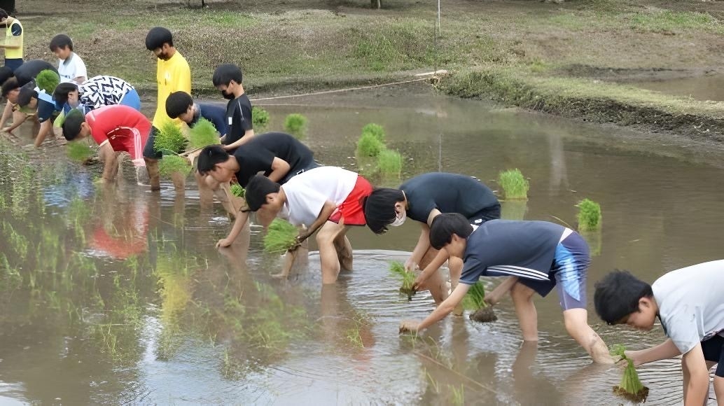 【お米のまきの】稲作体験福袋 イメージ