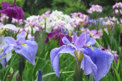 uoprxFgEnznOcYtfDARn.JPG?w=940&h=940