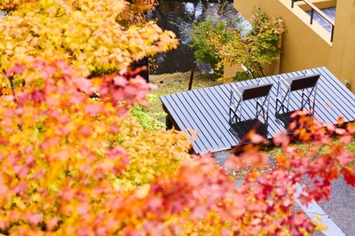 uqO4QynsG46auumMh0re.jpg?w=940&h=940