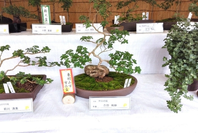 urDtdI0y0CSerLg8l9FA.jpg?w=940&h=940