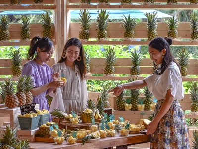 パインの香りに包まれ、旬のパインを楽しむことができます。