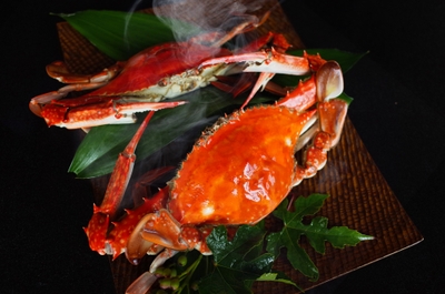 usosjRBzRZdXzW44GR36.jpg?w=940&h=940