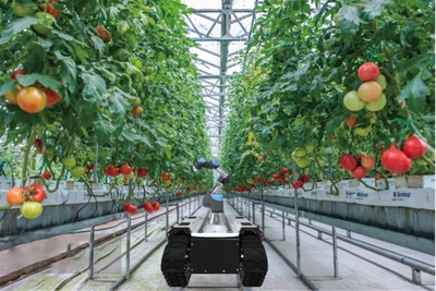 ut67uB2Ydr02kS712kRe.jpg?w=940&h=940